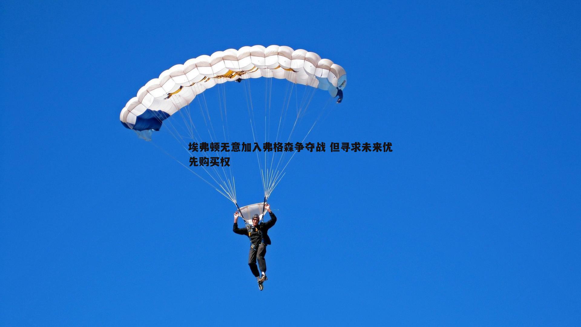 埃弗顿无意加入弗格森争夺战 但寻求未来优先购买权
